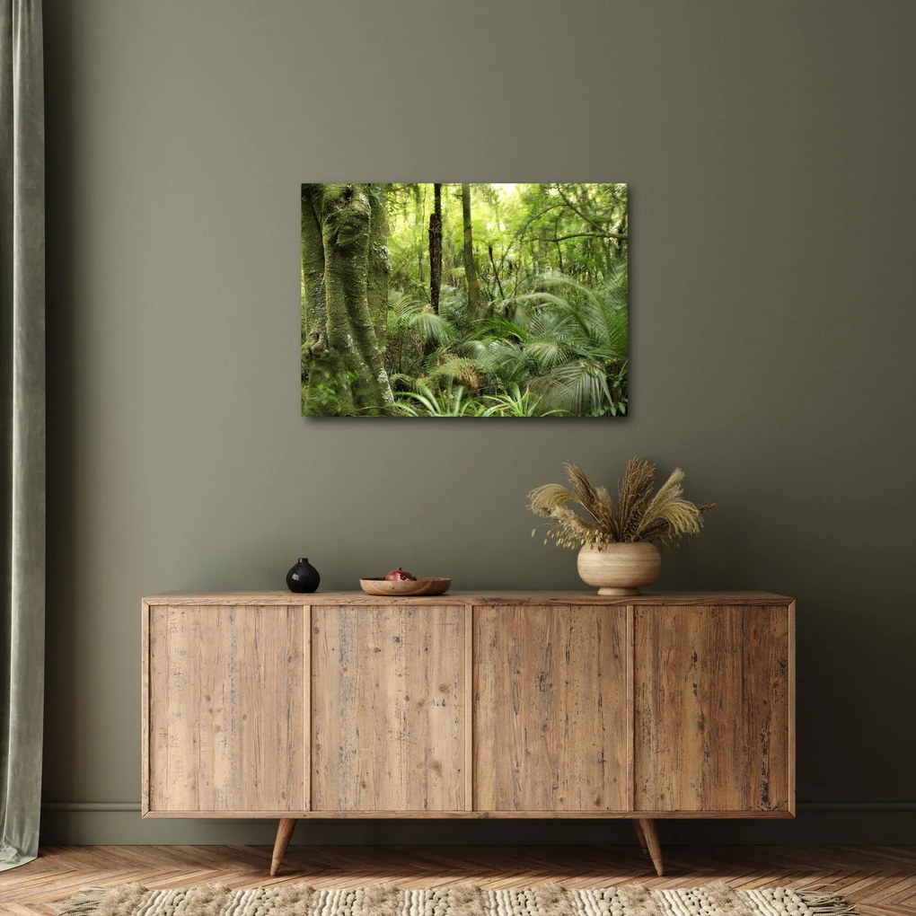 Tablou - Pădure tropicală (70x50 cm)