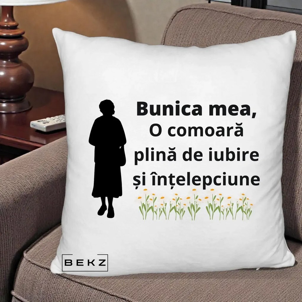 Cadou pentru Bunica - Perna Personalizata Bunica Mea Comoara Iubire Intelepciune Silueta cu Nepoata, 40x40 cm, Alb Pufos, Husa Detasabila, Perna Inclusa, BEKZ®