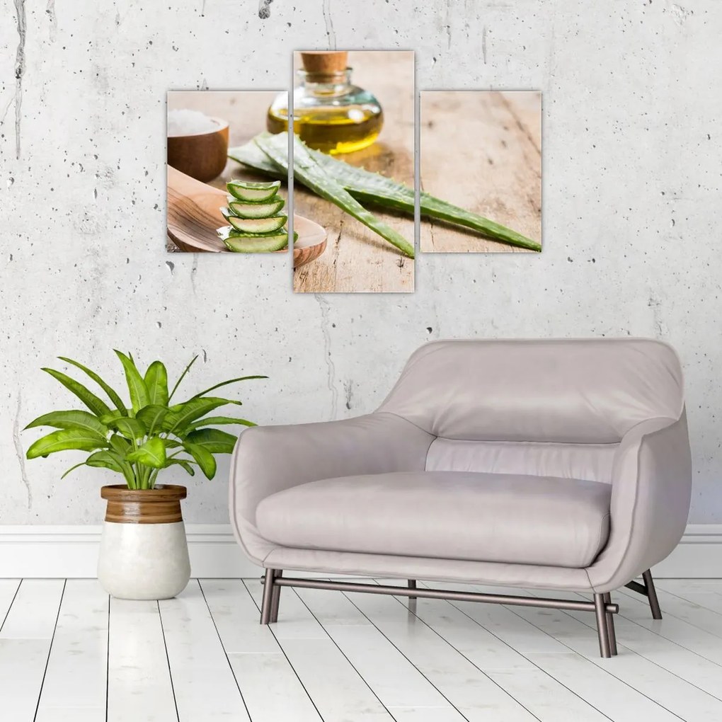 Tablou - Aloe vera (90x60 cm)