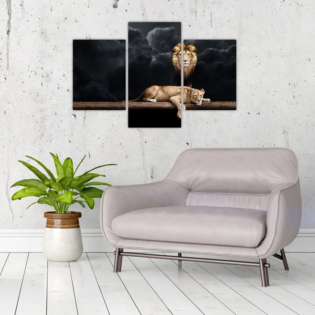 Tablou - Leu și leoaică (90x60 cm)