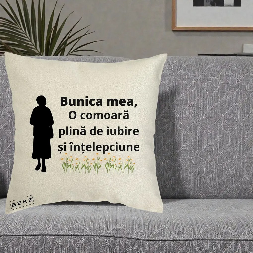 Cadou pentru Bunica - Perna Personalizata Bunica Mea Comoara Iubire Intelepciune Silueta cu Nepoata, 40x40 cm, Ecru, Husa Detasabila, Perna Inclusa, BEKZ®