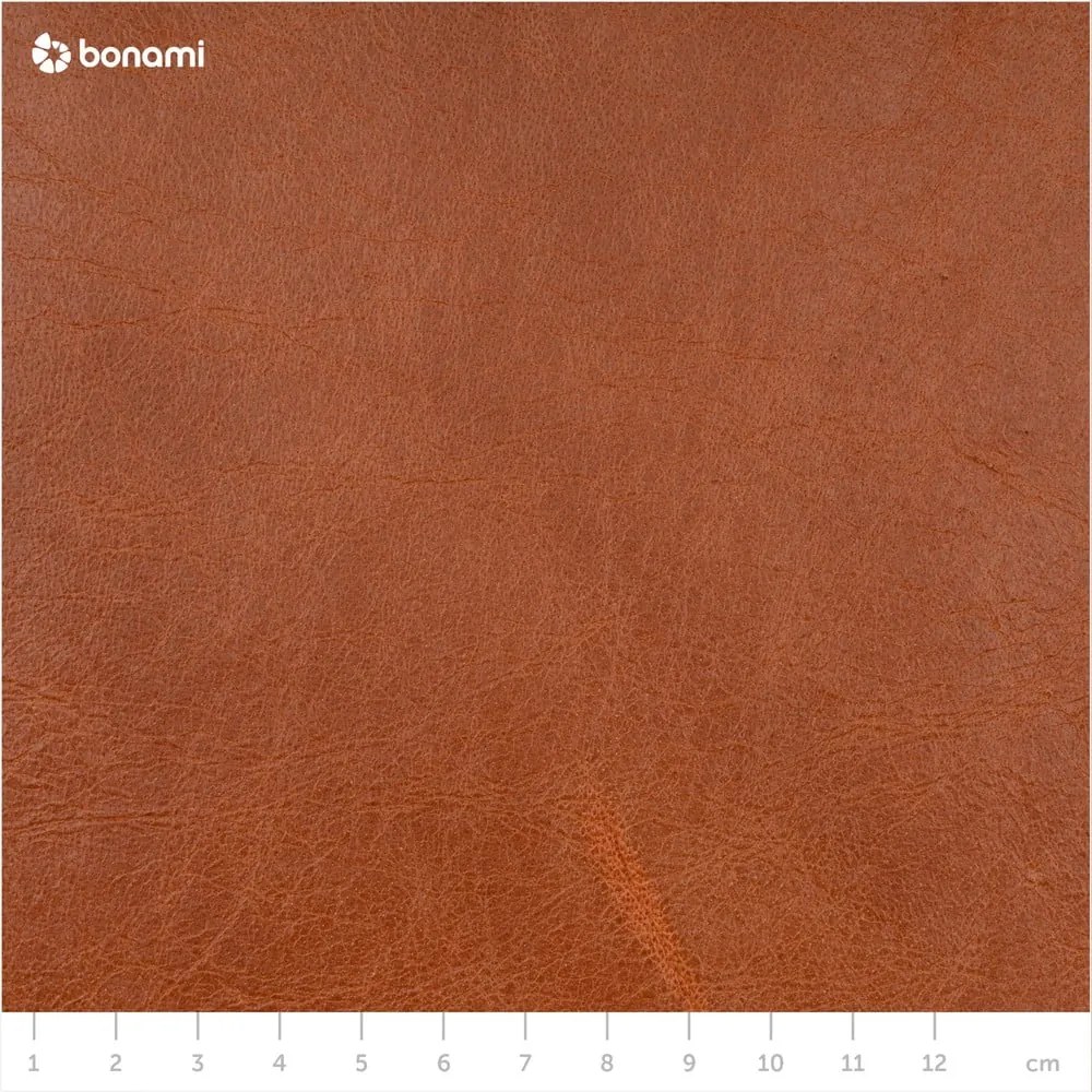 Canapea din piele MESONICA Puzo, maro