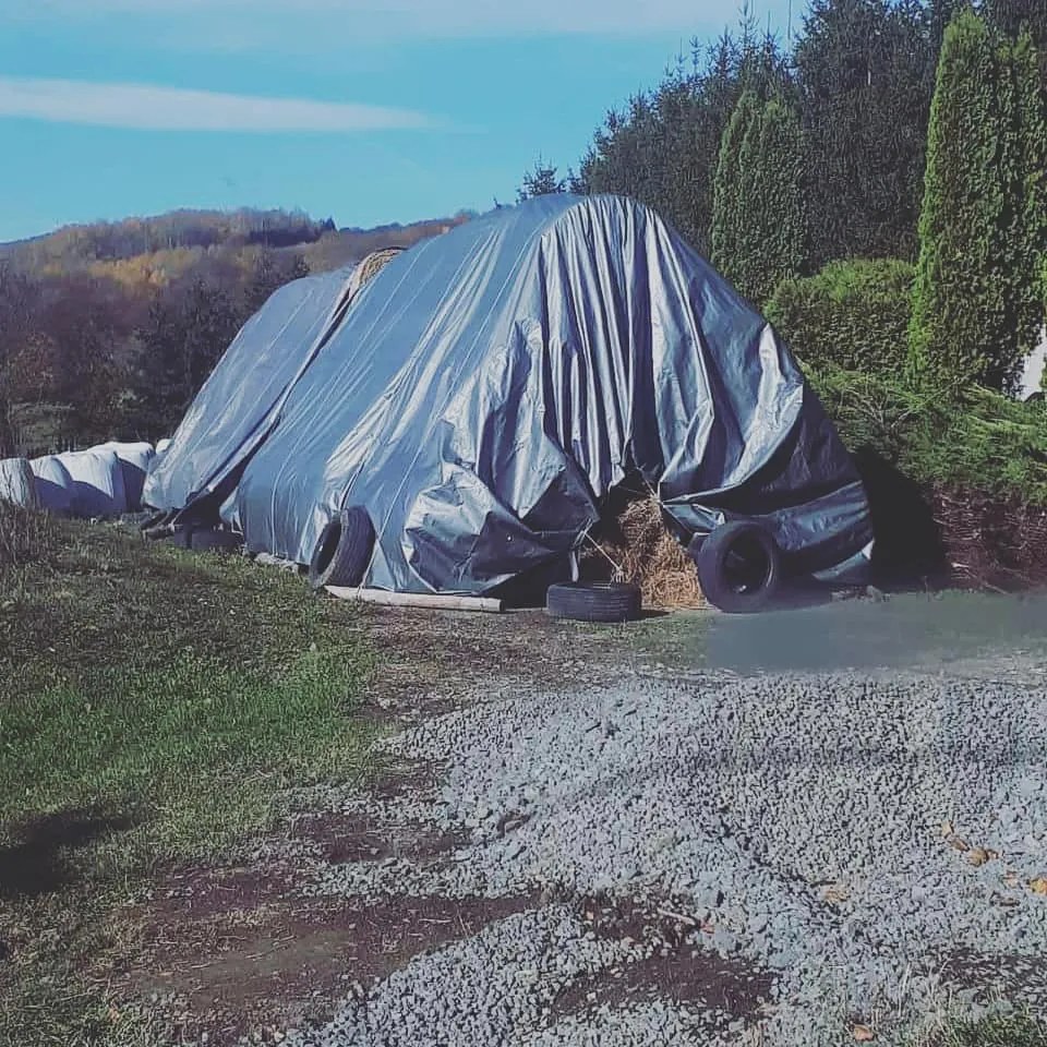 ShopJK PRELATĂ NEAGRĂ-ARGINTIE 3X5 M 260G/M2