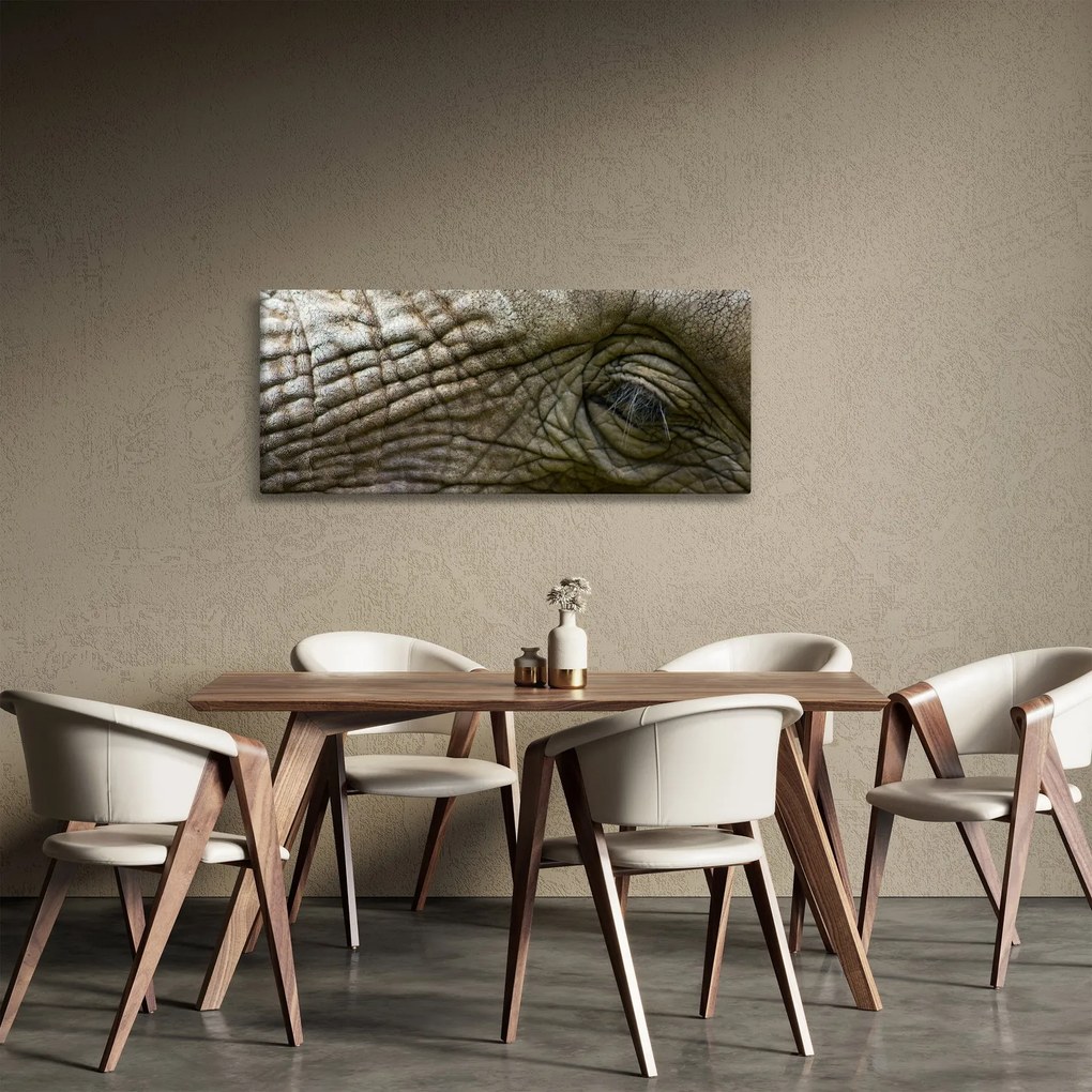 Tablou - Prim-planul ochiului de elefant vechi (120x50 cm)