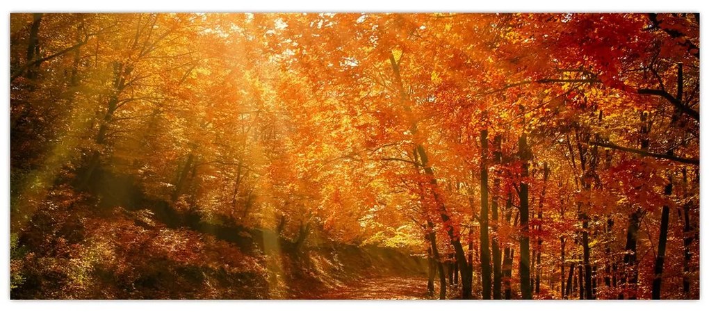 Tablou cu pădurea în toamnă (120x50 cm)