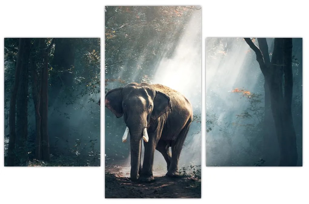 Tablou cu elefant în djunglă (90x60 cm)