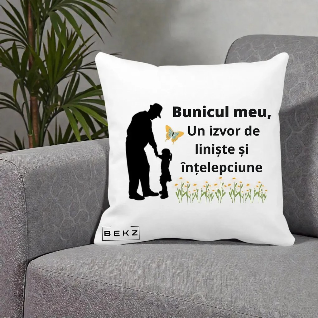 Cadou pentru Bunic - Perna Personalizata Bunicul Meu Izvor de Liniste cu Fluture si Fetita, 40x40 cm, Alba Mata, Husa Detasabila, Perna Inclusa, BEKZ®
