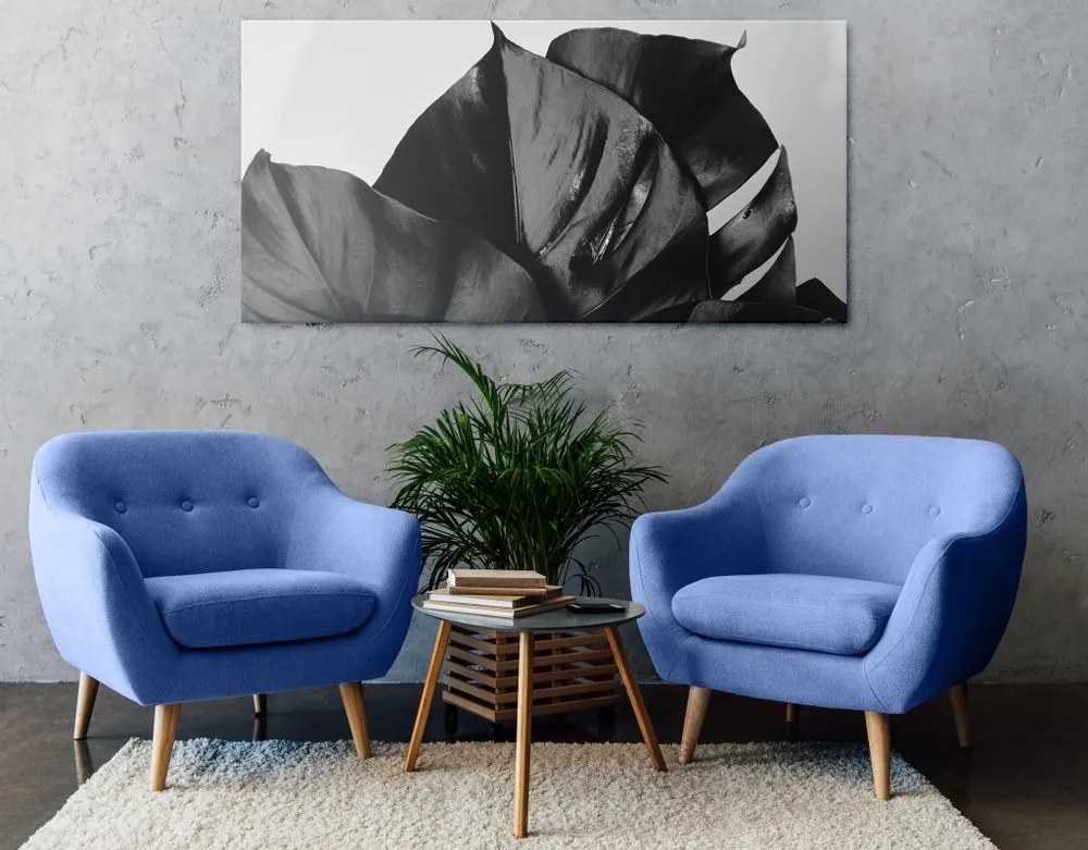 Tablou frunză de Philodendron alb-negru