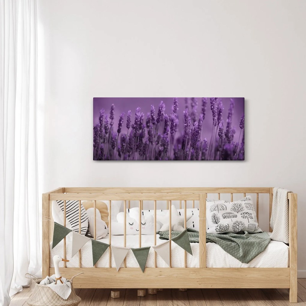 Tablou - Lavanda (120x50 cm)