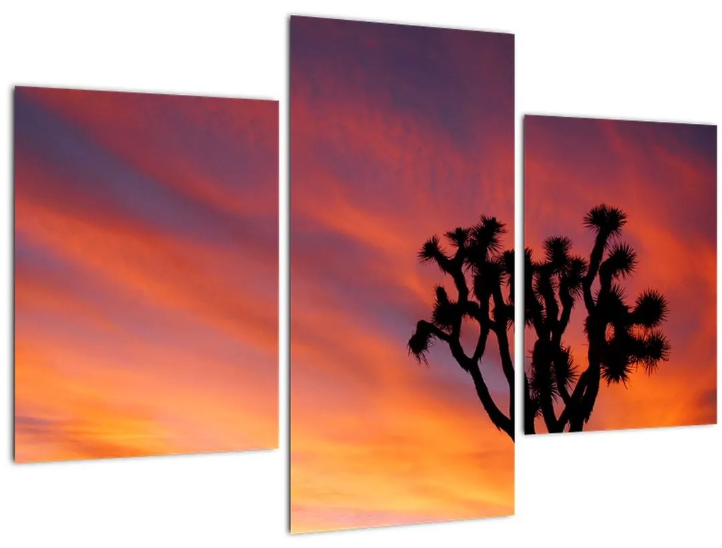 Tablou apus de soare deasupra siluetei unui copac (90x60 cm)