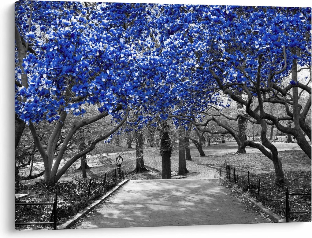 Tablou - Copaci albaștri Central Park, New York (70x50 cm)