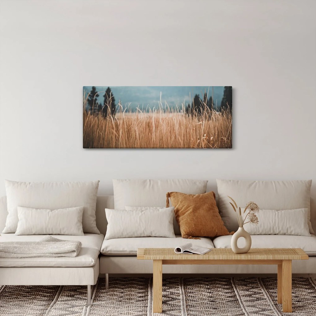 Tablou - detaliu spațiului de luncă (120x50 cm)
