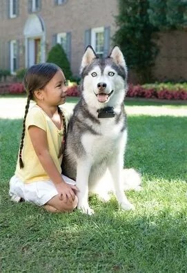 PetSafe® Gard electric pentru câini Super