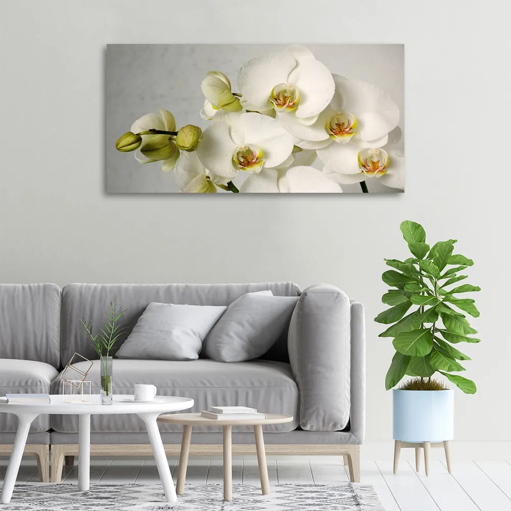 Print pe canvas Alb orhidee