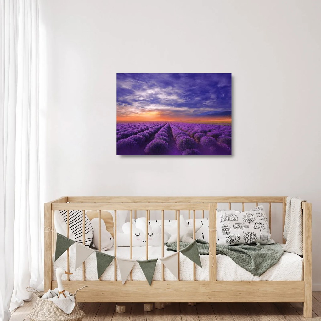 Tablou pe sticlă câmpului cu lavandă (70x50 cm)