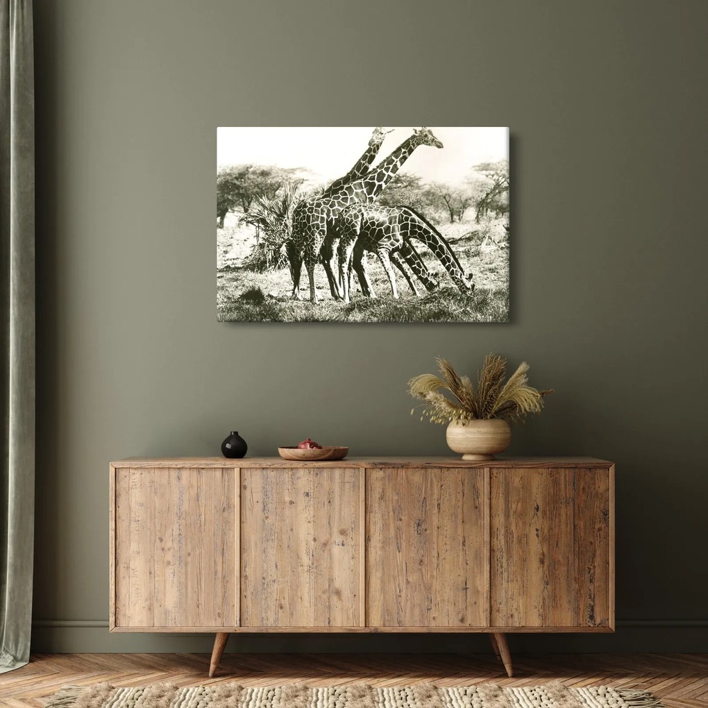 Tablou - Girafe, de epocă (90x60 cm)