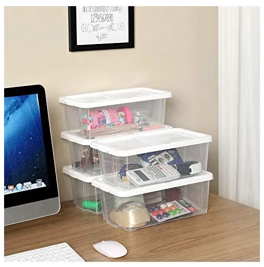 Set 12 cutii de depozitare pentru pantofi, Songmics, LSP12WT, Transparent