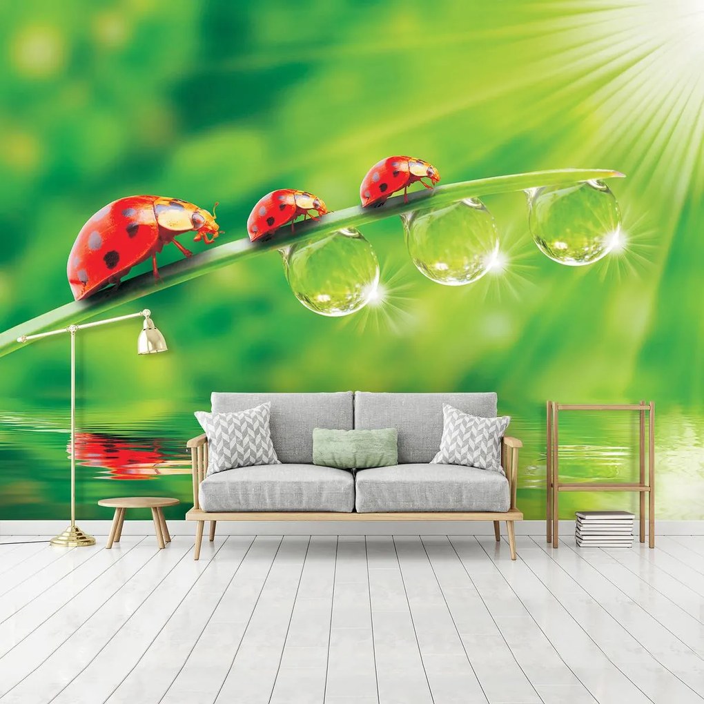 Fototapet - Flori (152,5x104 cm)