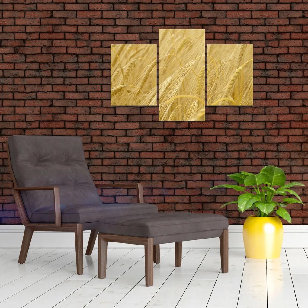 Tablou - Orz (90x60 cm)