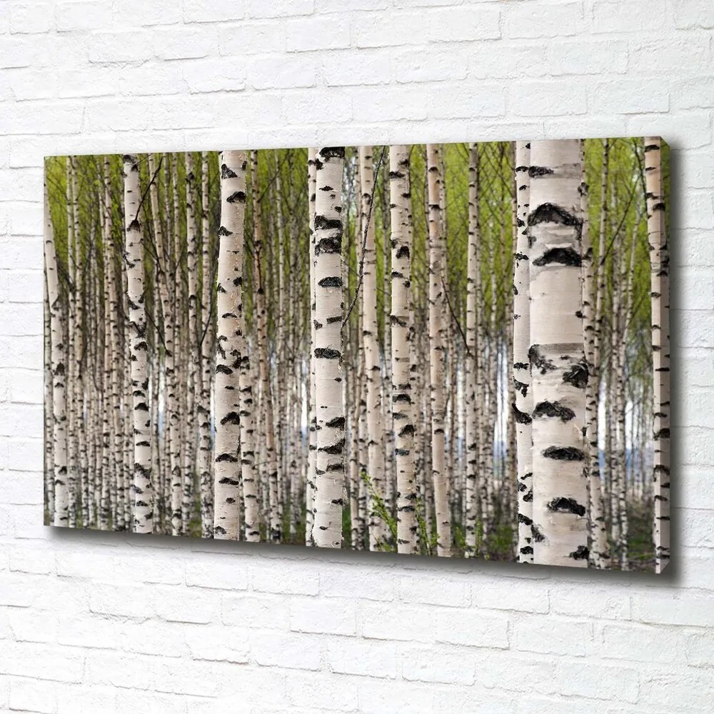 Print pe canvas Pădurea de mesteacăn