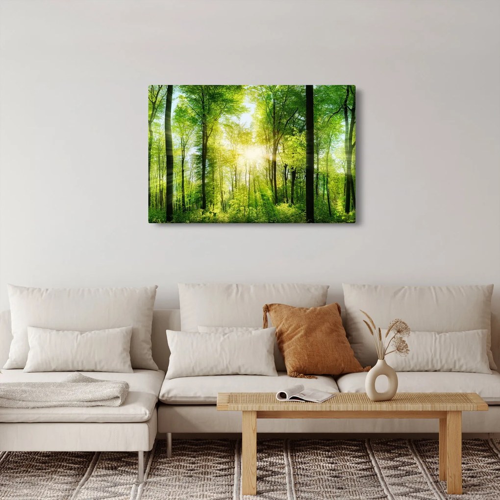 Tablou - Răsărit în pădure (90x60 cm)