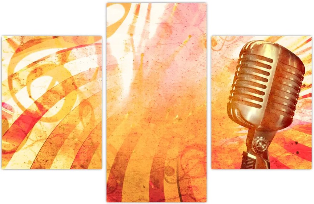 Tablou - Microfon retro (90x60 cm)