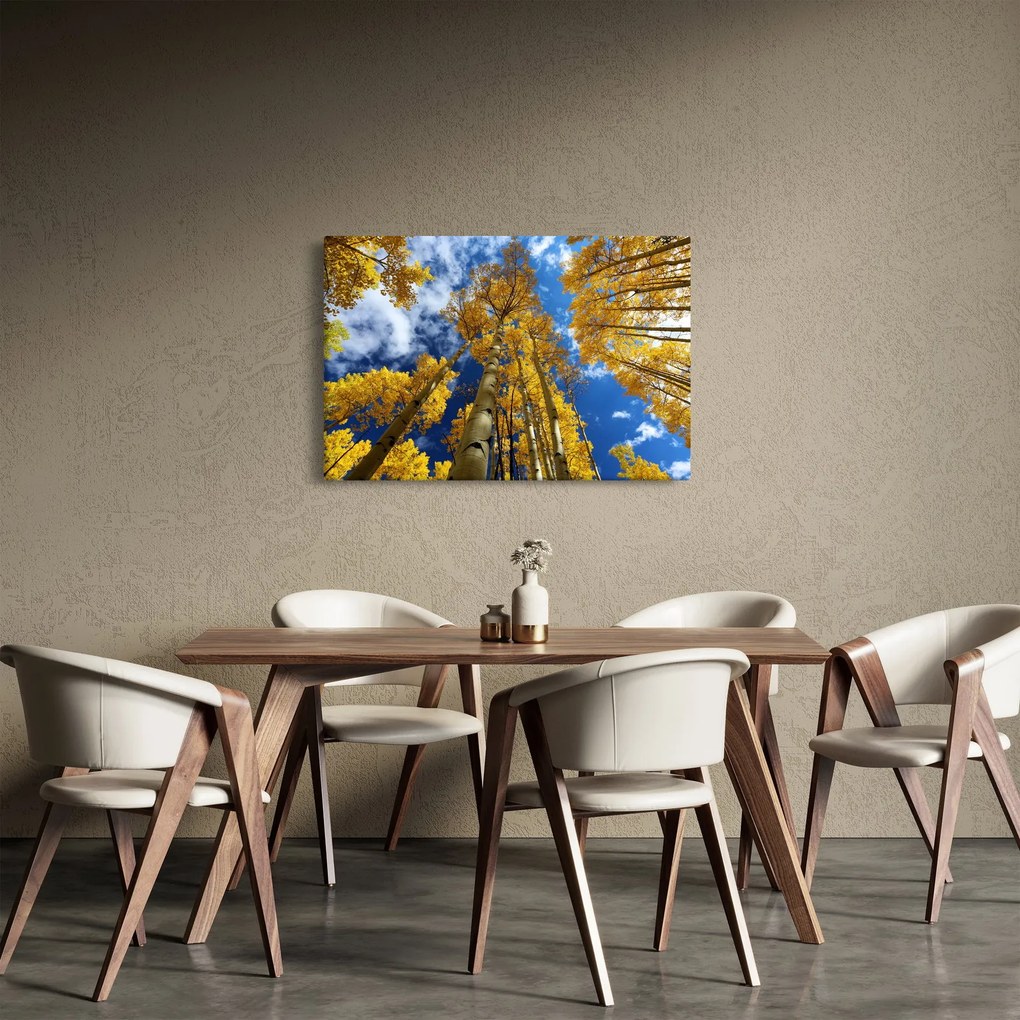 Tablou - Aspen (90x60 cm)