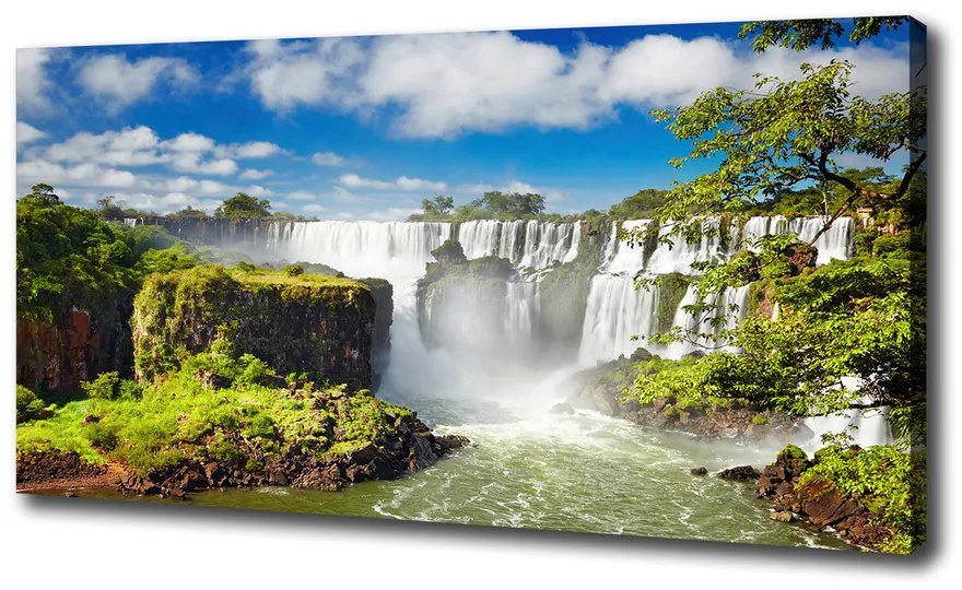 Print pe pânză Cascada argentina