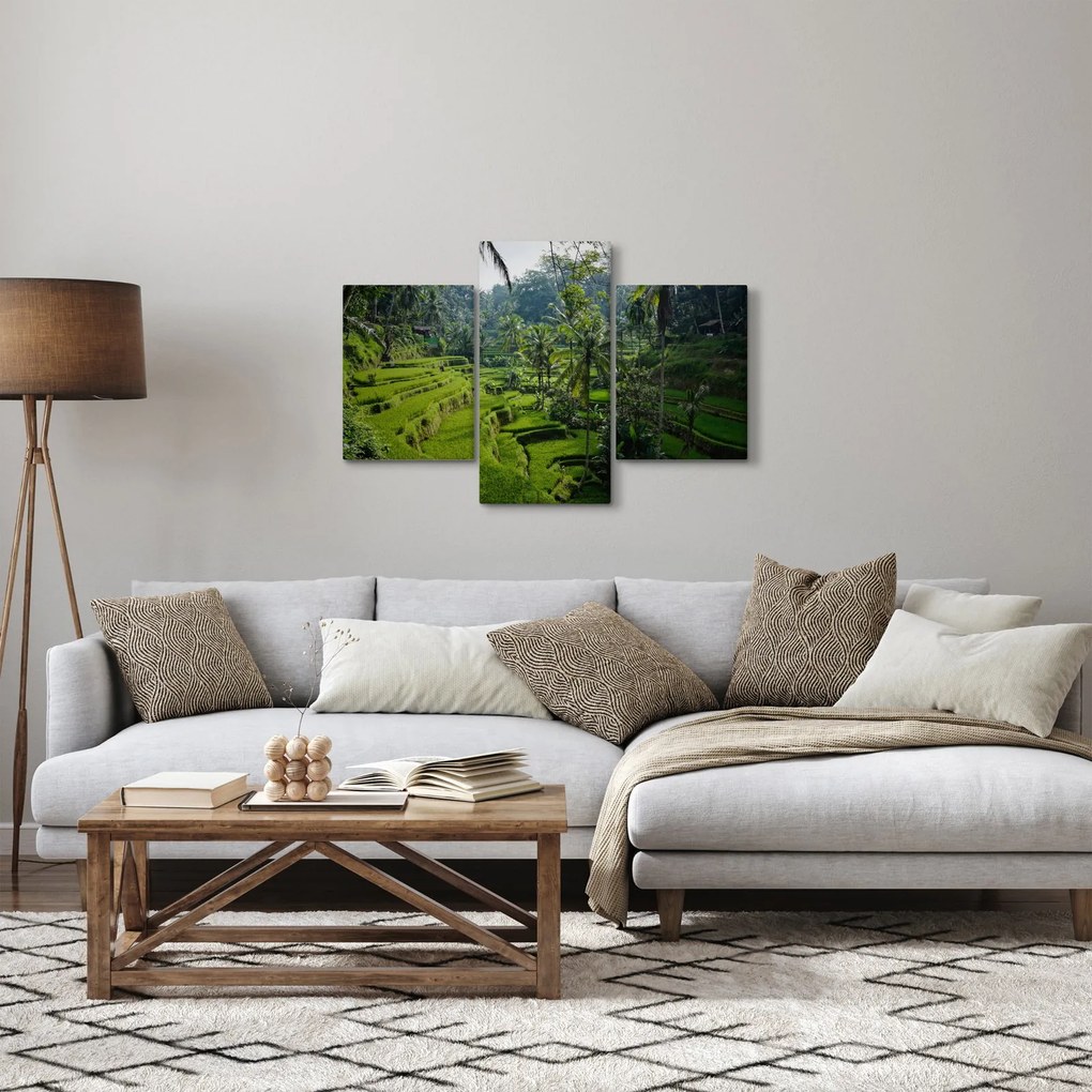 Tablou cu terasele cu orez Tegalalang, Bali (90x60 cm)