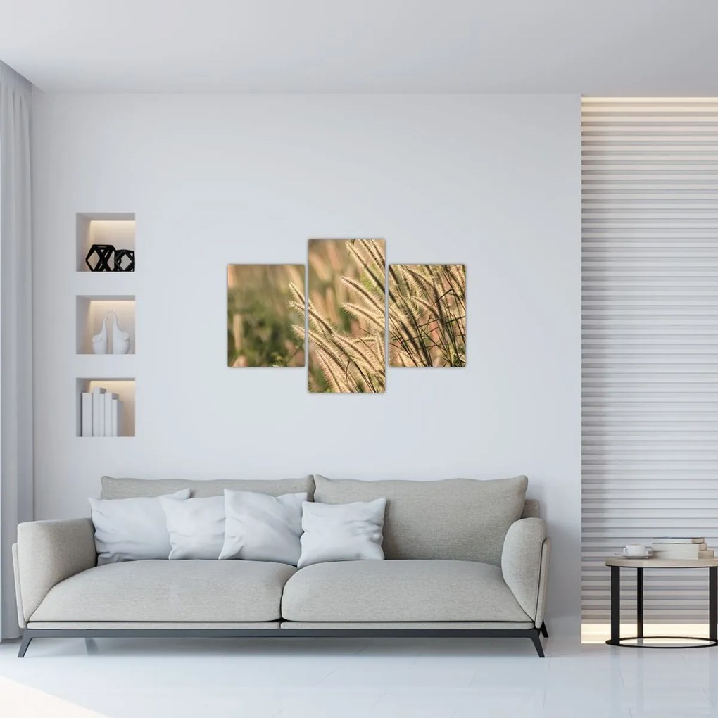 Tablou - Cereale (90x60 cm)