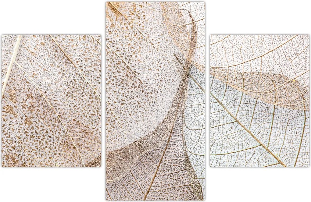 Tablou - Frunze bej (90x60 cm)