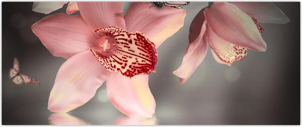 Tablou - Flori și fluture (120x50 cm)