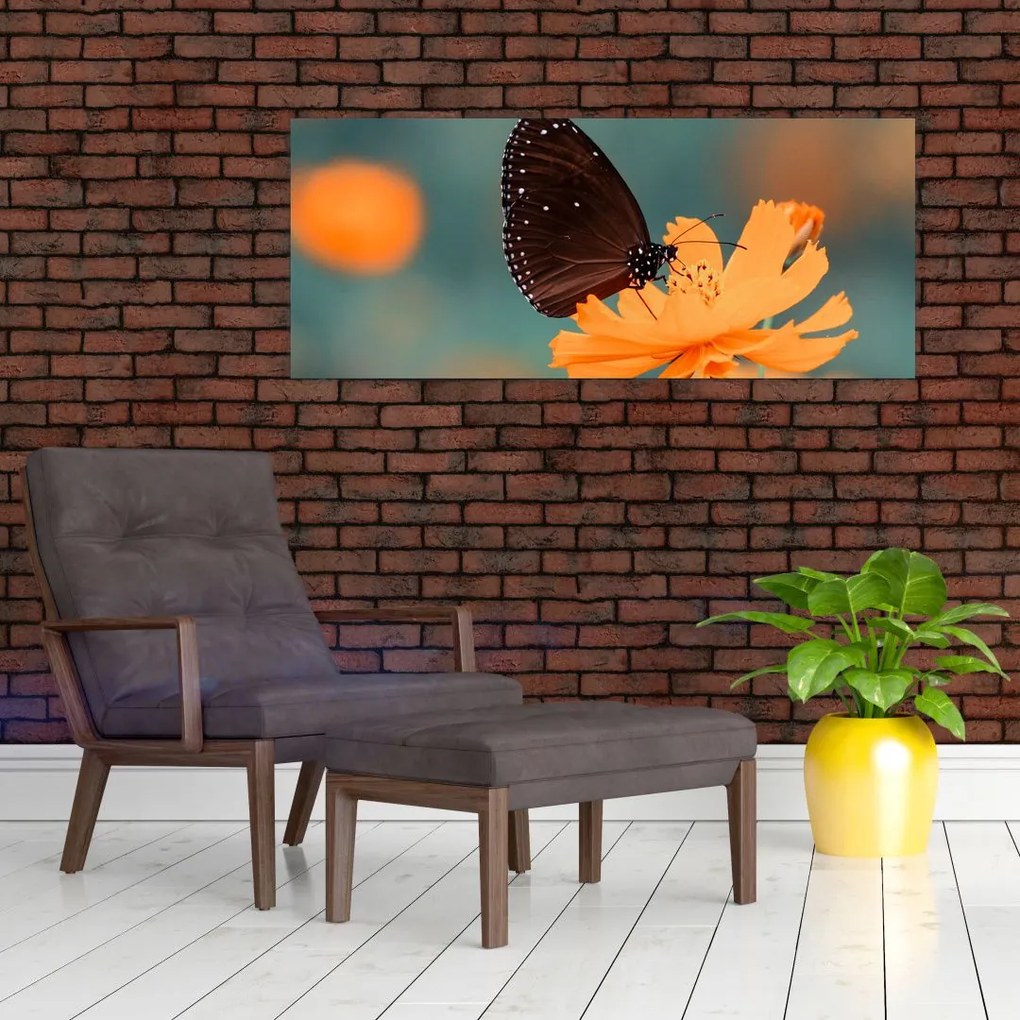 Tablou - fluture pe o floare portocalie (120x50 cm)