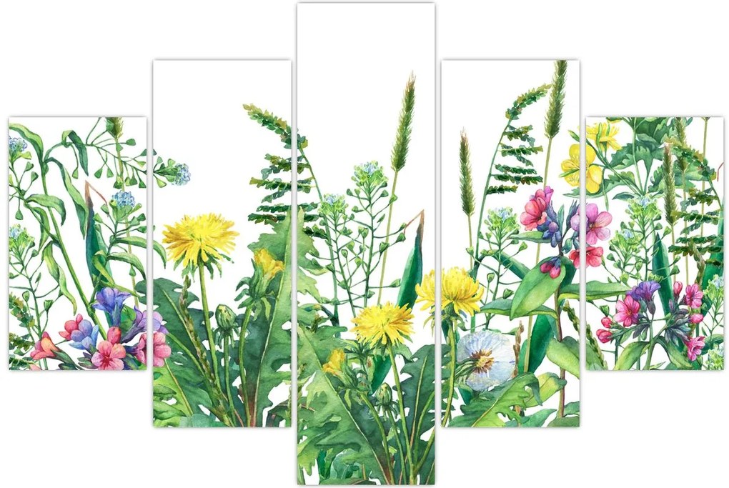 Tablou - Flori de pajiște pictate (150x105 cm)