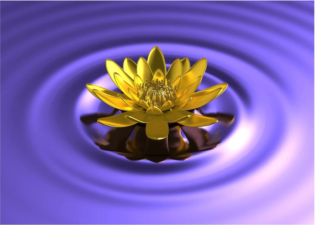 Tablou - Lotus (70x50 cm)