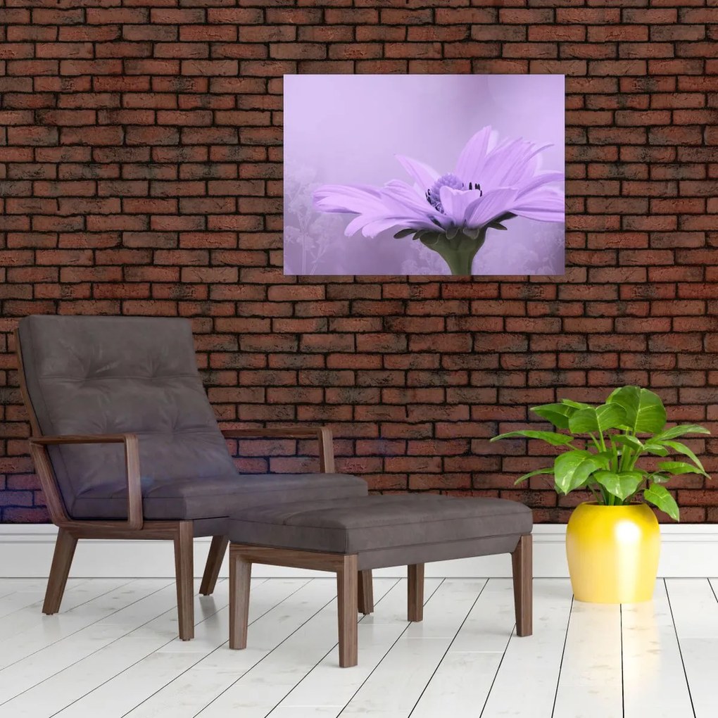 Tablou - Flori mov (70x50 cm)