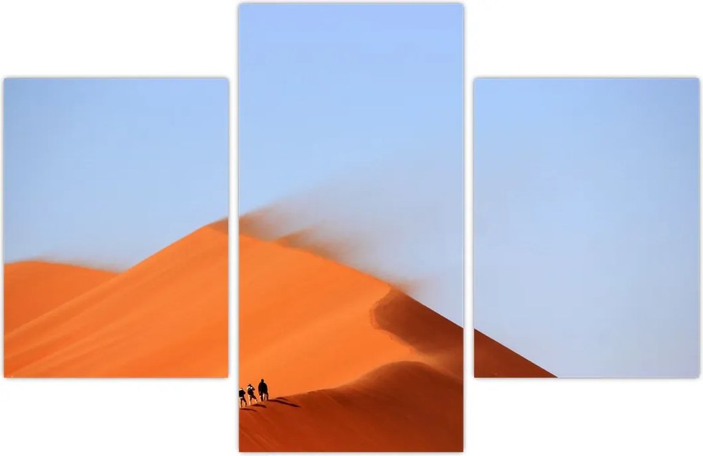 Tablou - Deșert nisipos (90x60 cm)