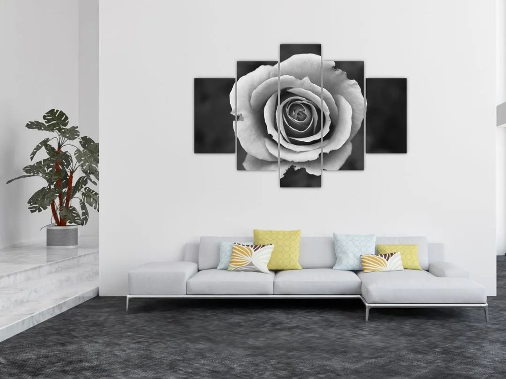 Tablou - Trandafir (150x105 cm)