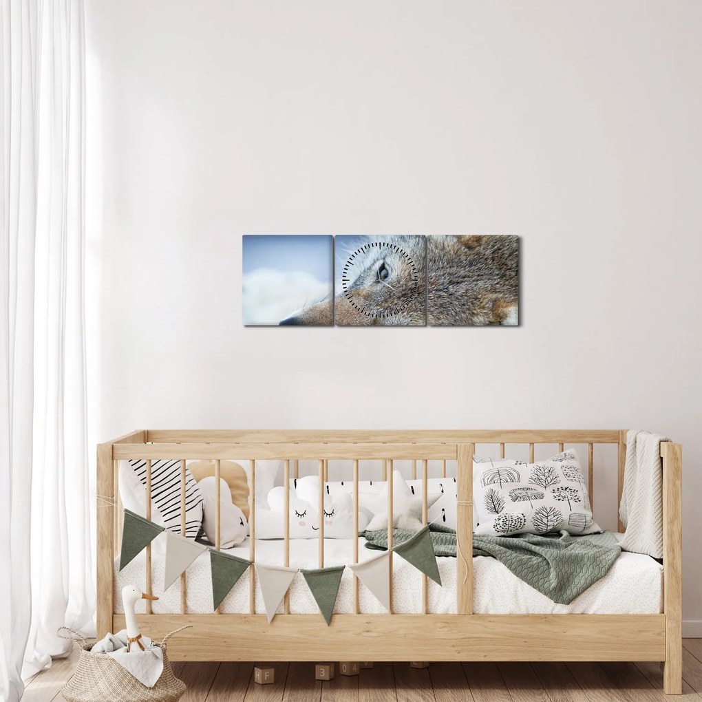 Tablou - Lup (cu ceas) (90x30 cm)
