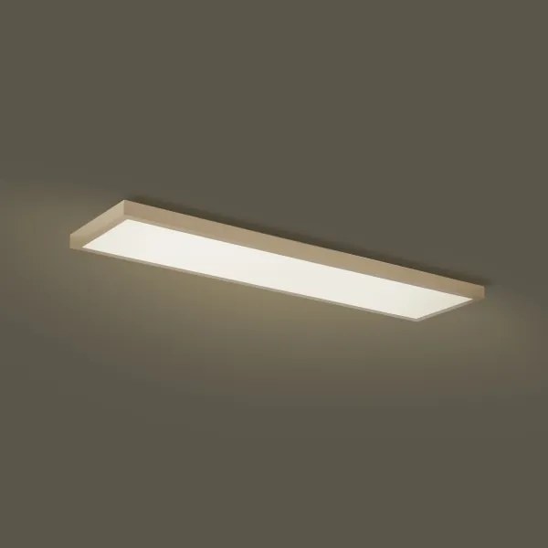 Brilagi-LED Aplica LED de baie dimabilă FRAME SMART LED/50W/230V 120x30 IP44 + telecomandă