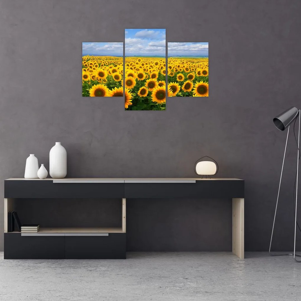 Tablou cu lan de floarea soarelui (90x60 cm)