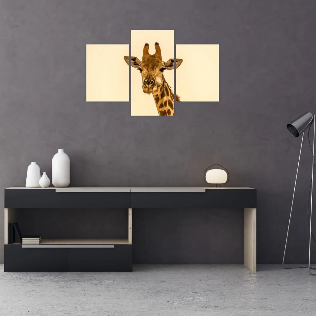 Tablou cu girafe (90x60 cm)