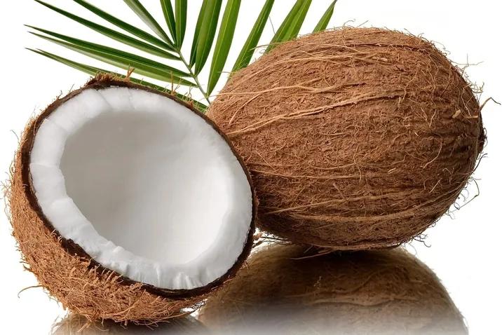 Saltea cu arcuri impachetate individual si fibra de cocos COCO MAXI 19 cm 120x200 cm Protectie saltea: INCLUSIV protectie saltea