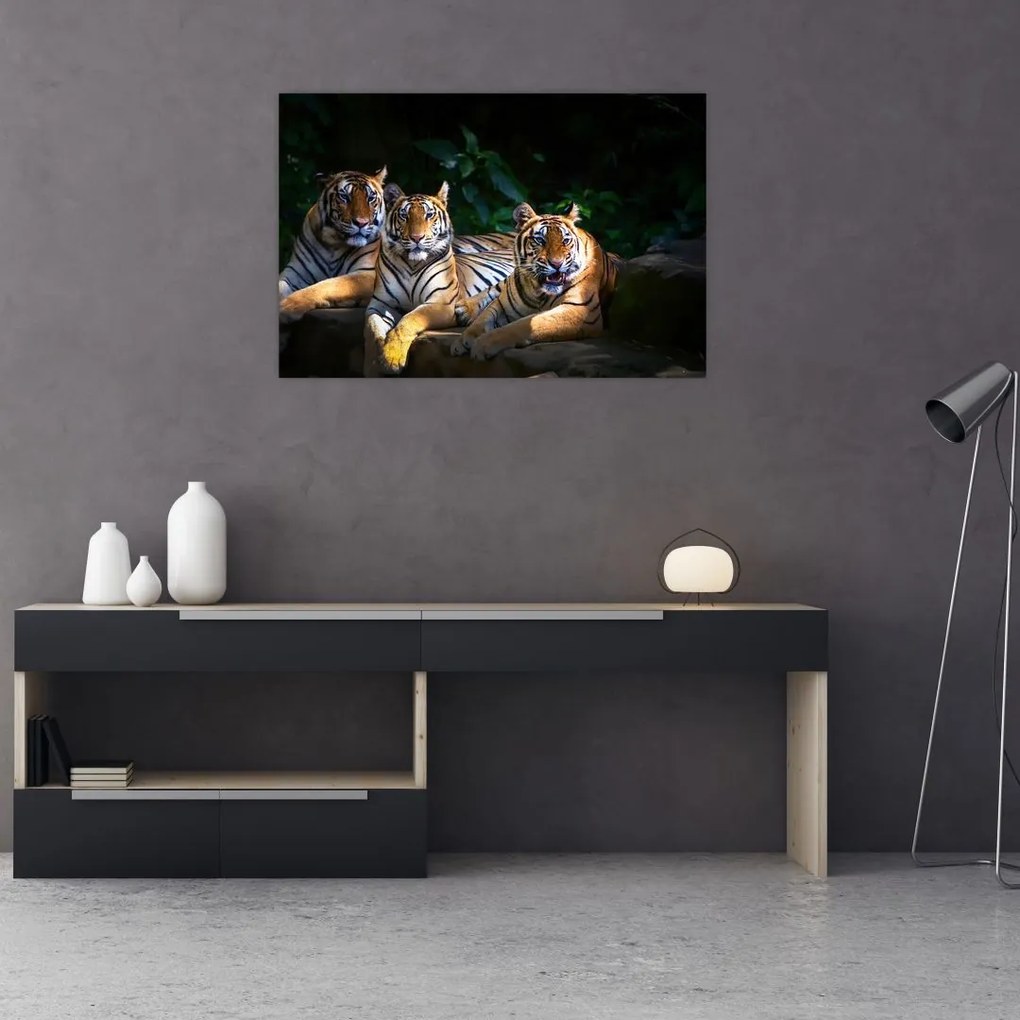 Tablou - Tigrii frați (90x60 cm)