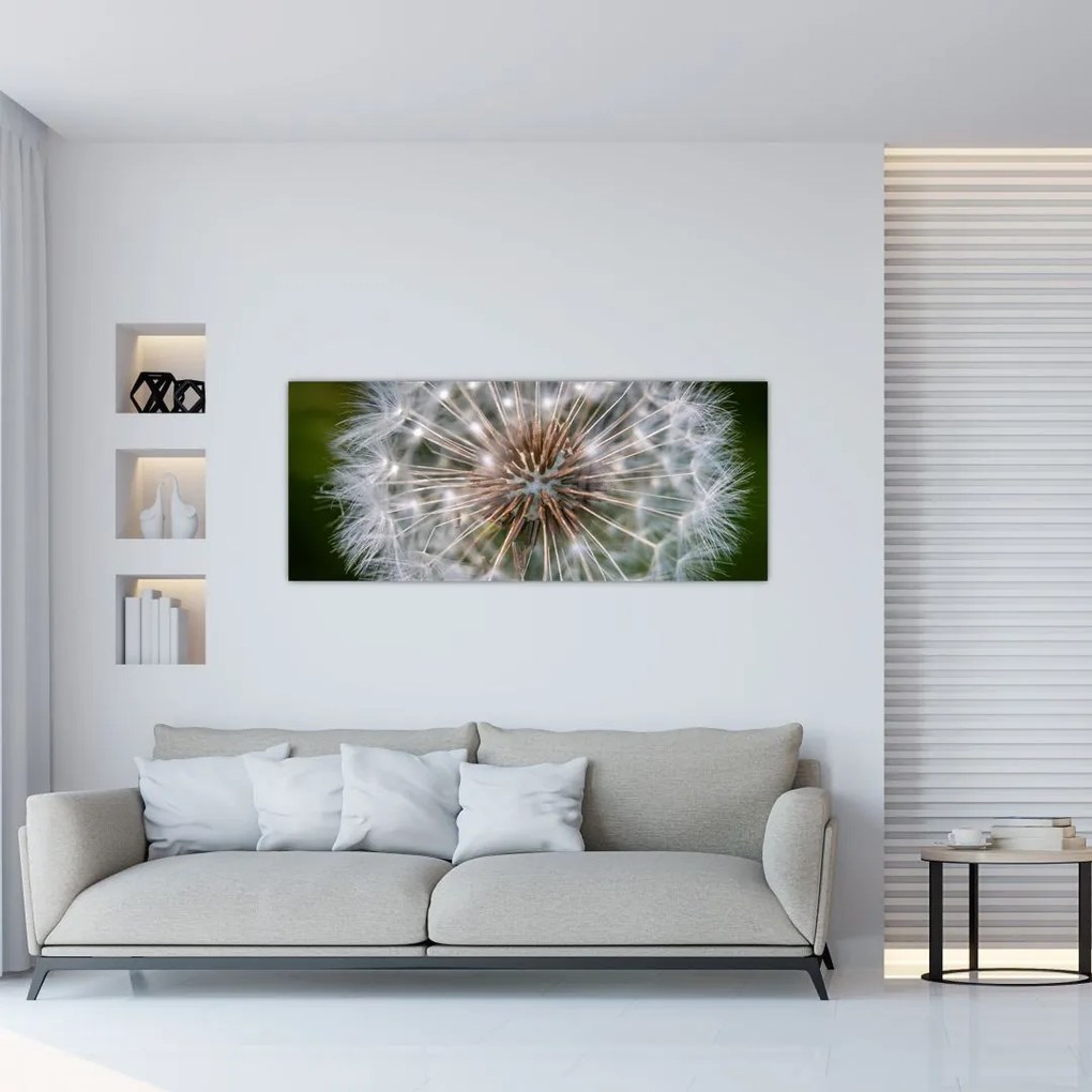Tablou cu păpădie (120x50 cm)