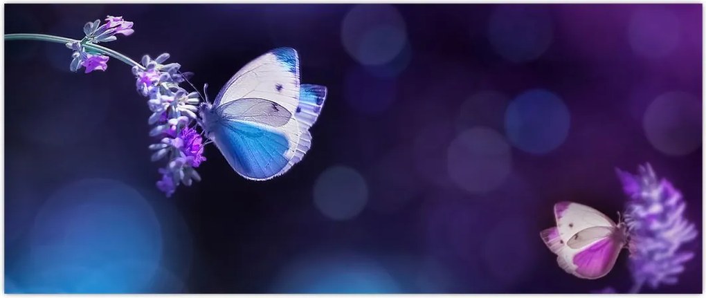 Tablou - Flutute în lavandă (120x50 cm)