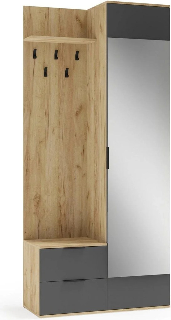 Mobiler hol CORAL, stejar auriu/gri antracit, PAL laminat, 100x45x203