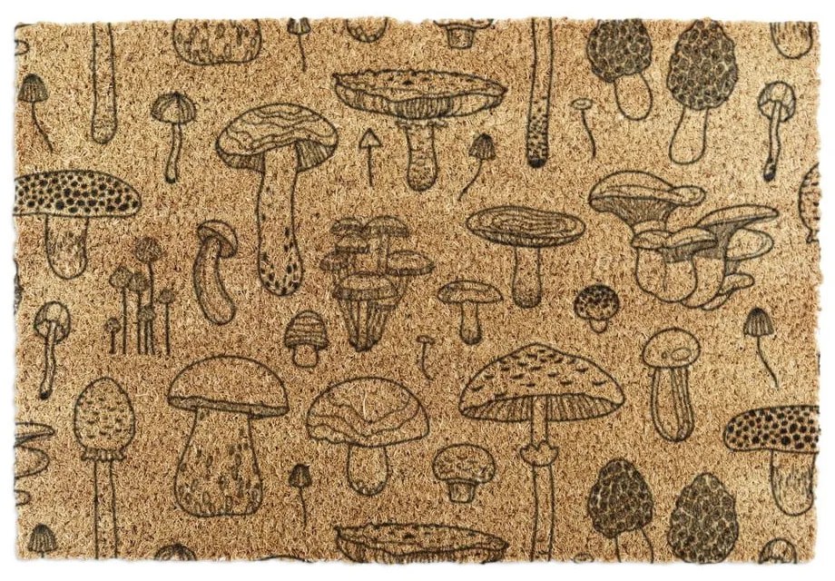 Covoraș de intrare din fibre de nucă de cocos 40x60 cm Mushrooms – Artsy Doormats