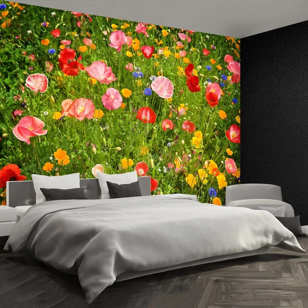 Fototapet Flori Meadow