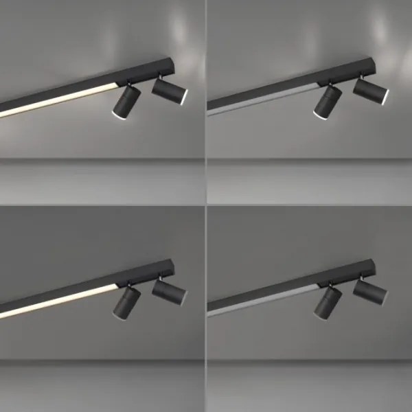 Paul Neuhaus 6121-13 - Spot LED reglabil 4xLED/4W/230V + LED/9W+DO